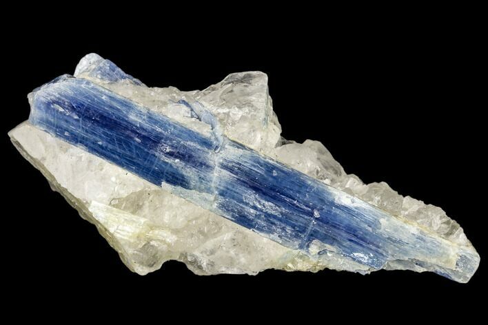 Vibrant Blue Kyanite Crystal In Quartz - Brazil #113481